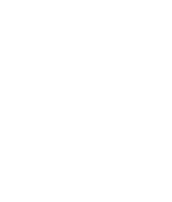 faceliftstudio-logo-white